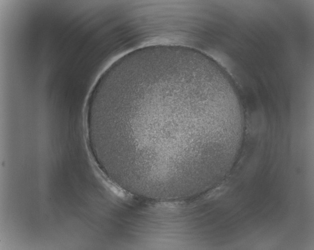 X0000069791078200605261651