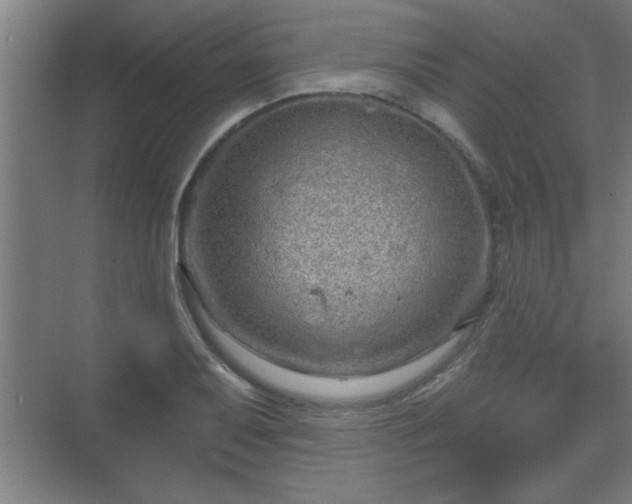 X0000069791079200605261651