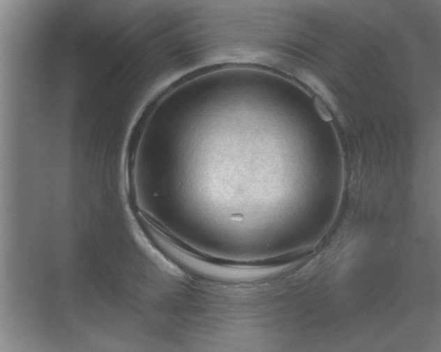 X0000069791080200605261650