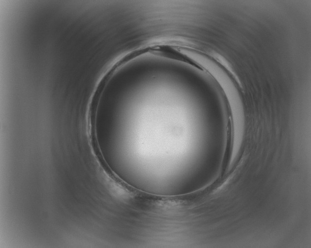 X0000069791082200605261650