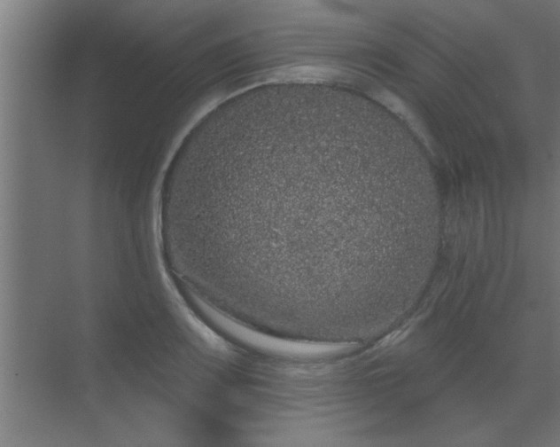 X0000069791083200605261650