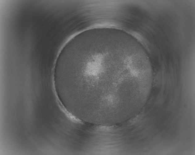 X0000069791086200605261650