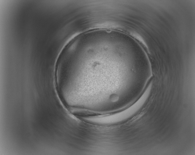 X0000069791087200605261650