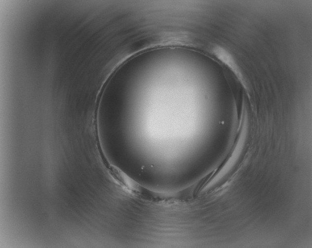 X0000069791089200605261650