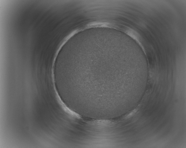 X0000069791090200605261650