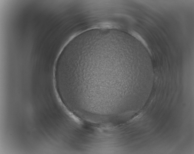 X0000069791091200605261650