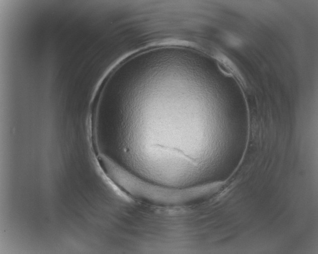 X0000069791092200605261650