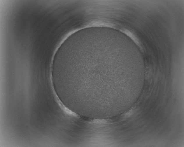 X0000069791094200605261650