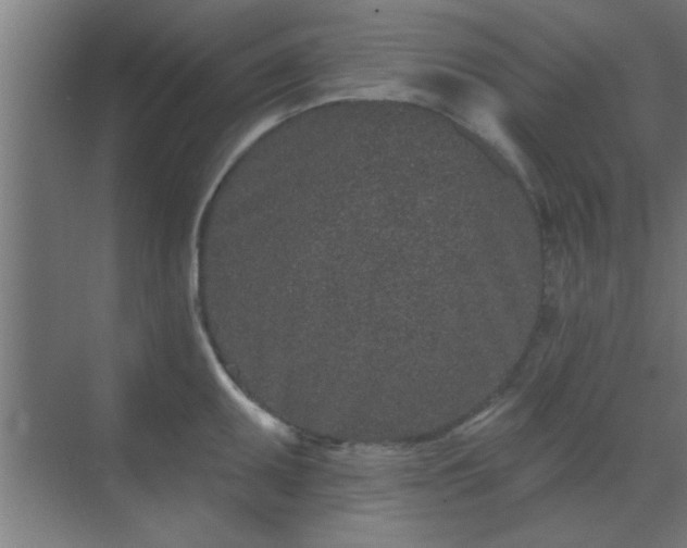 X0000069791095200605261650