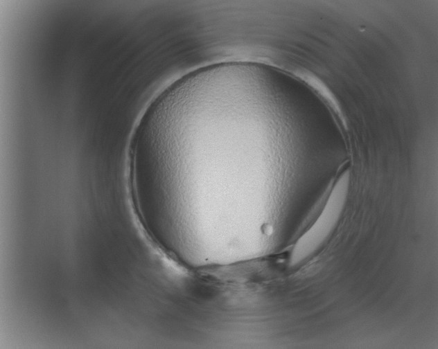 X0000069791096200605261650