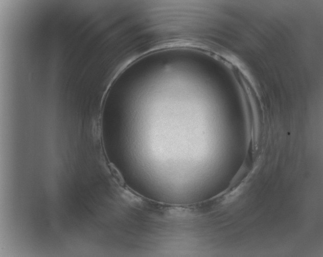 X0000069791097200605261650