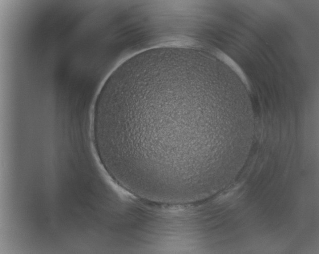 X0000069791099200605261650