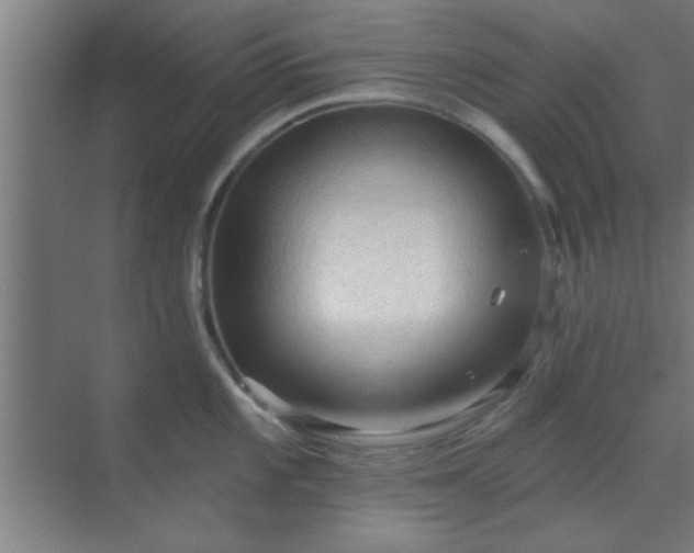 X0000069791101200605261650