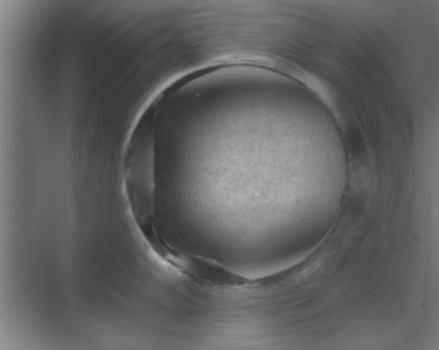 X0000069791102200605261650