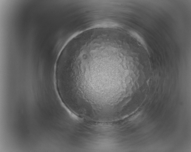 X0000069791103200605261650