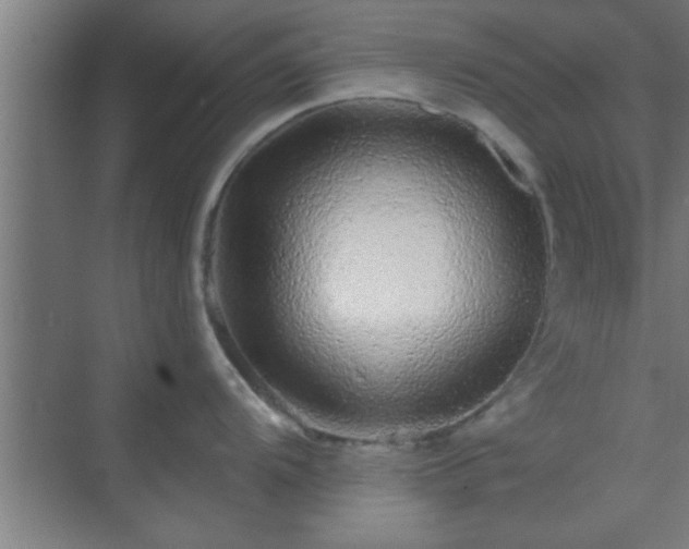 X0000069791104200605261650