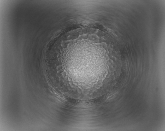 X0000069791105200605261649