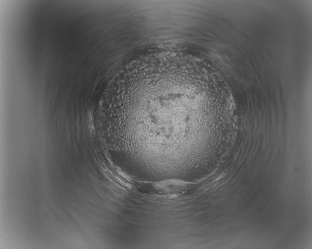 X0000069791106200605261649