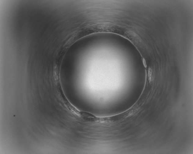 X0000069791107200605261649