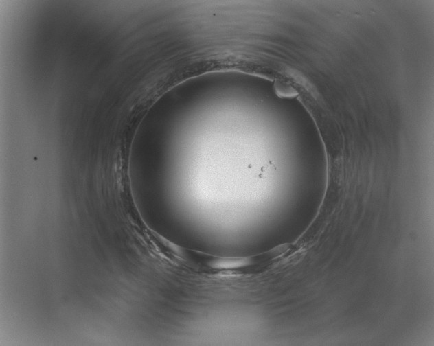 X0000069791111200605261649