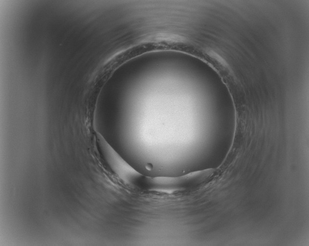 X0000069791112200605261649