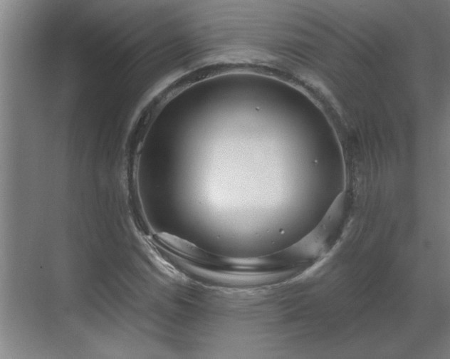 X0000069791114200605261649