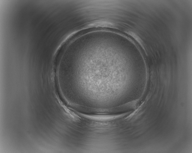 X0000069791115200605261649