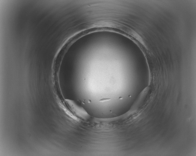 X0000069791116200605261649