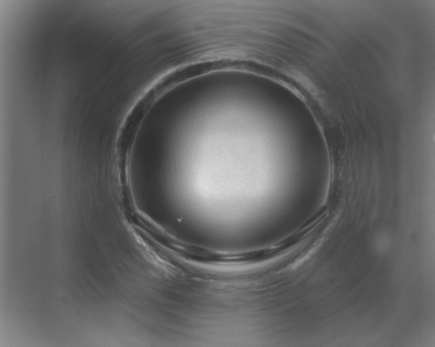 X0000069791118200605261649