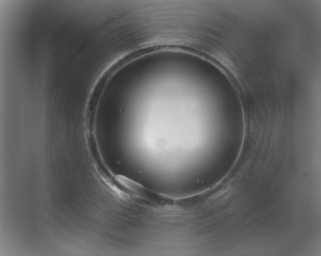 X0000069791119200605261650