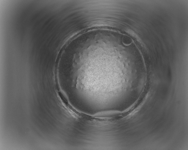 X0000069791121200605261650