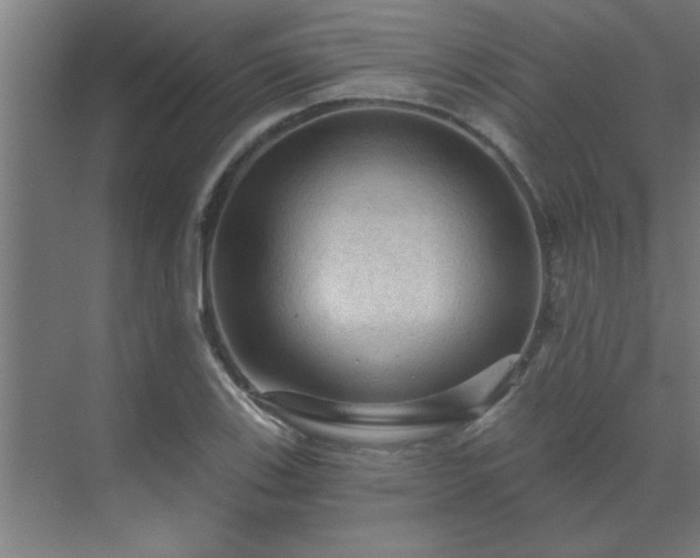 X0000069791123200605261650