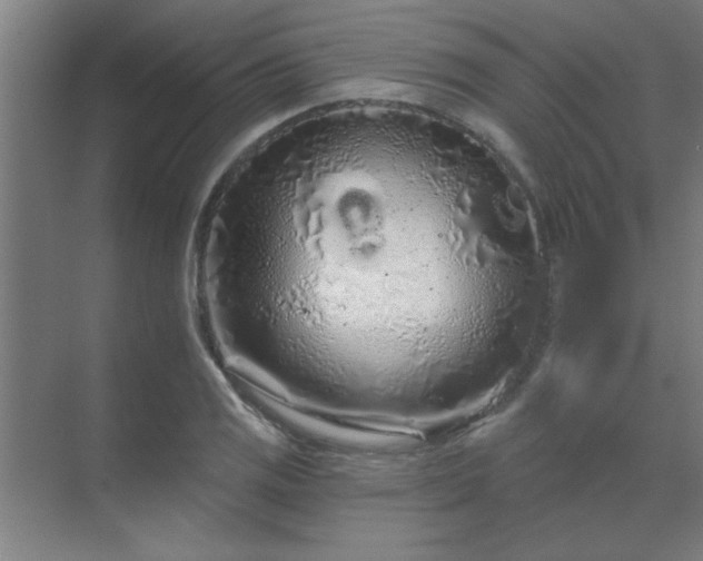 X0000069791125200605261650