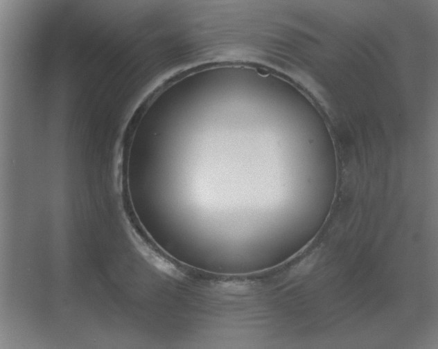 X0000069791126200605261650