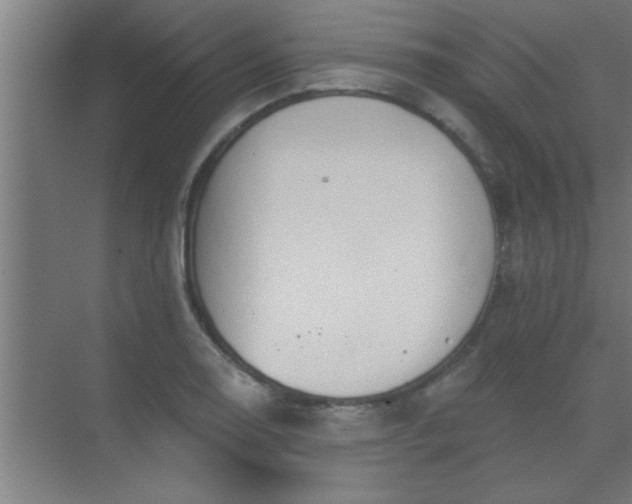 X0000069791130200605261650