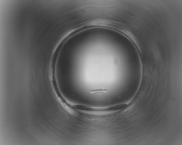 X0000069791131200605261650