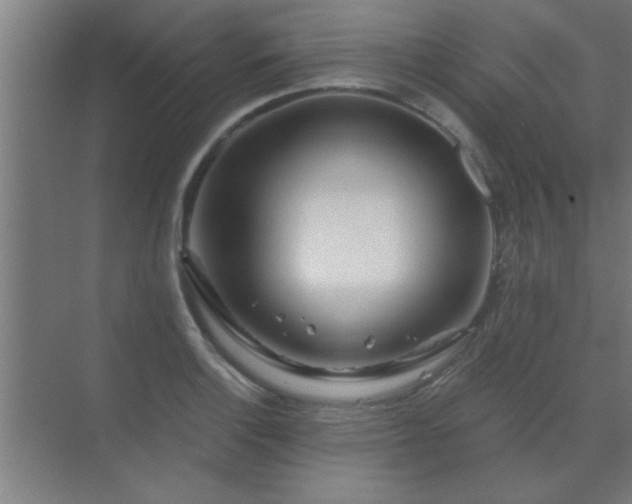 X0000069791132200605261650