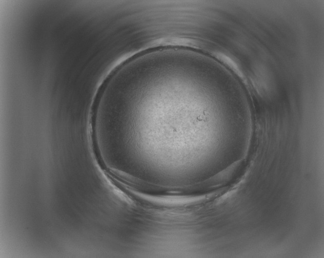 X0000069791133200605261650