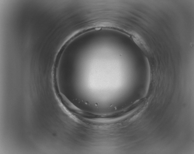 X0000069791134200605261650