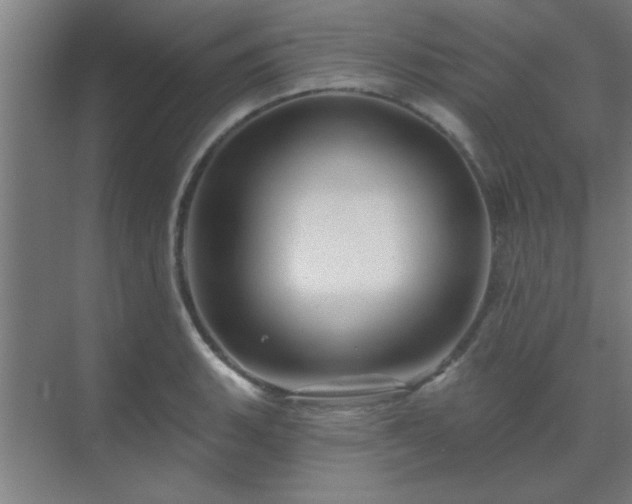 X0000069791135200605261650