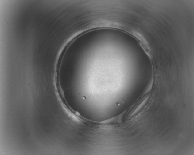 X0000069791136200605261650