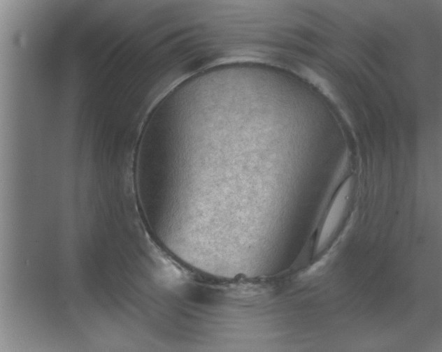 X0000069791137200605261650