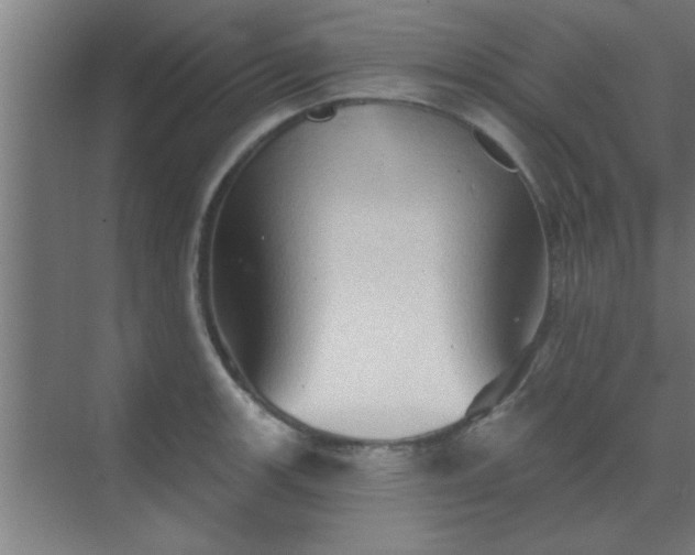 X0000069791139200605261650