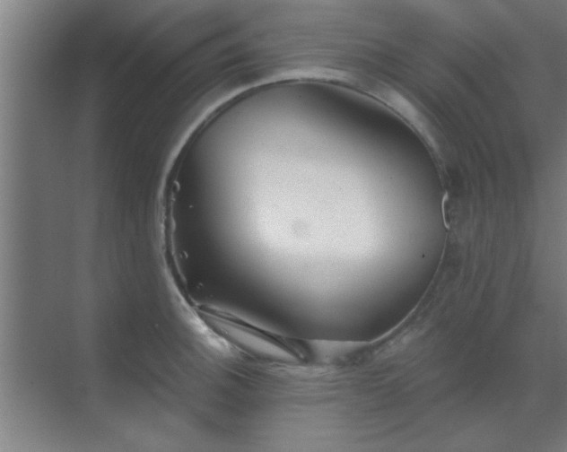 X0000069791140200605261650