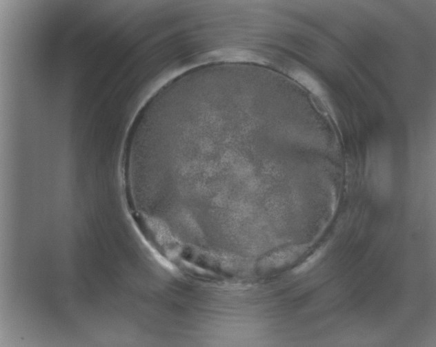 X0000069791141200605261650