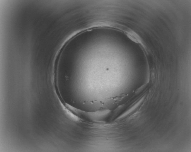 X0000069791143200605261650