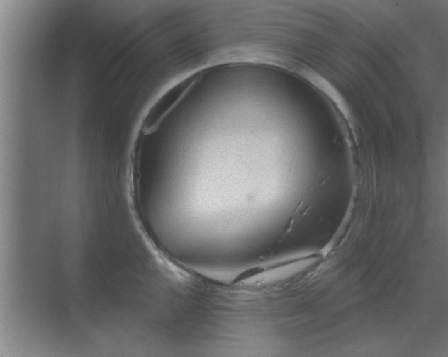 X0000069791144200605261650