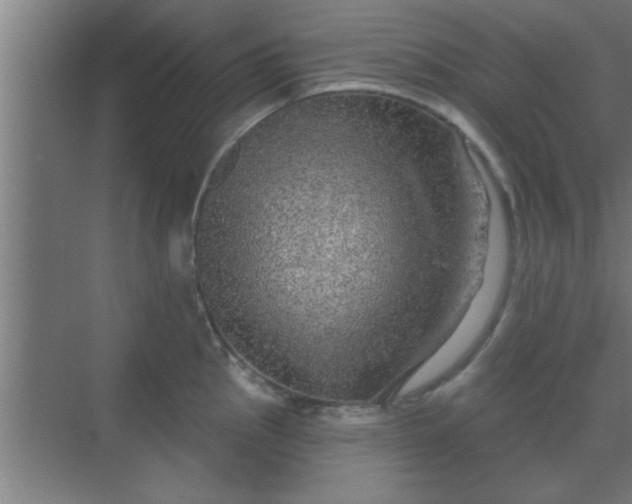 X0000069791145200605261650