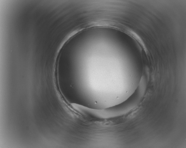 X0000069791146200605261650