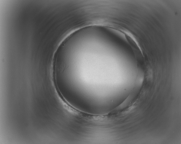 X0000069791147200605261650